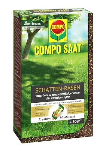 COMPO SAAT Schatten-Rasen, Rasensamen / Grassamen, Spezielle Rasensaat-Mischung mit wirkaktivem Keimbeschleuniger, 1 kg, 50 m² von Compo