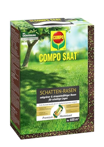 COMPO SAAT Schatten-Rasen - ideal für schattige Lagen - strapazierfähiger Schattenrasen - 2 kg für 100 m² von Compo
