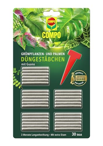 COMPO Grünpflanzen- und Palmen Düngestäbchen mit Guano, Dünger mit 3 Monaten Langzeitwirkung, 30 Stück von Compo