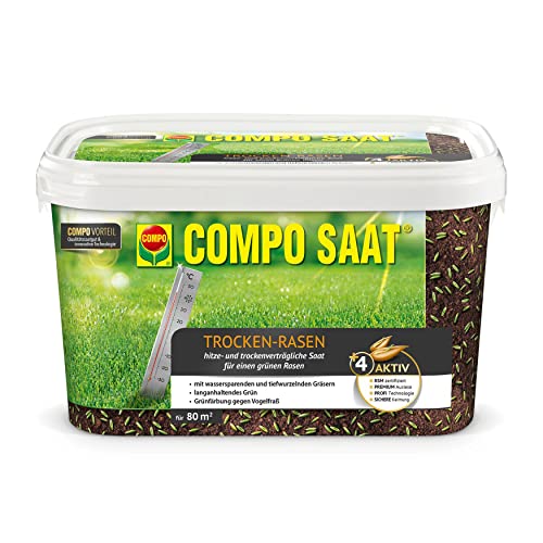 COMPO SAAT Trocken-Rasen, Hitze- und trockenverträgliche Rasensamen / Grassamen für trockene und sonnige Standorte, 2 kg, 80 m² von Compo