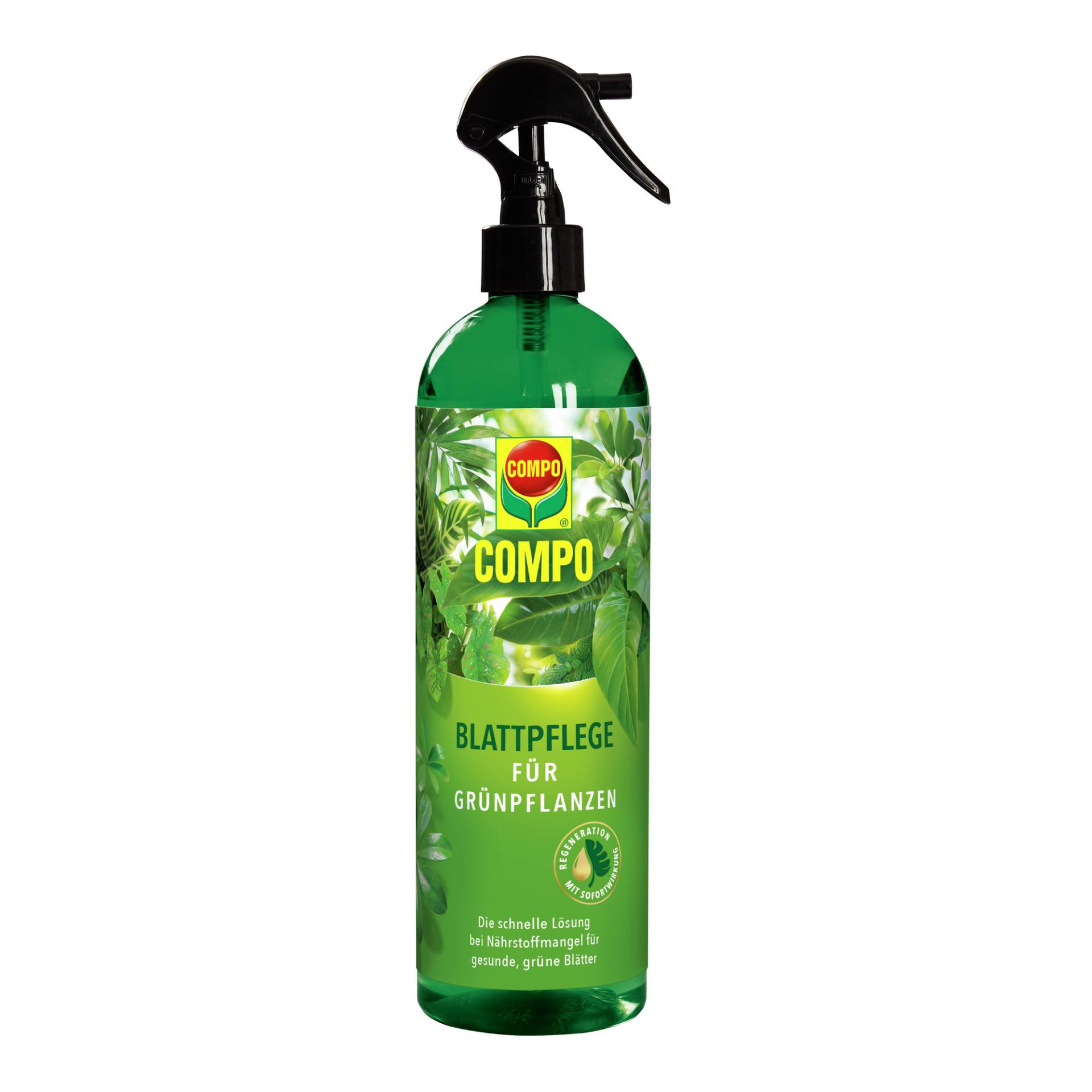 Compo Blattpflege für Grünpflanzen 500 ml Compo Blattpflege für Grünpflanzen 500 ml von Compo