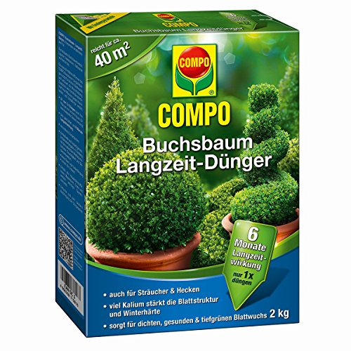 Compo Buchsbaum Langzeit-Dünger von Compo