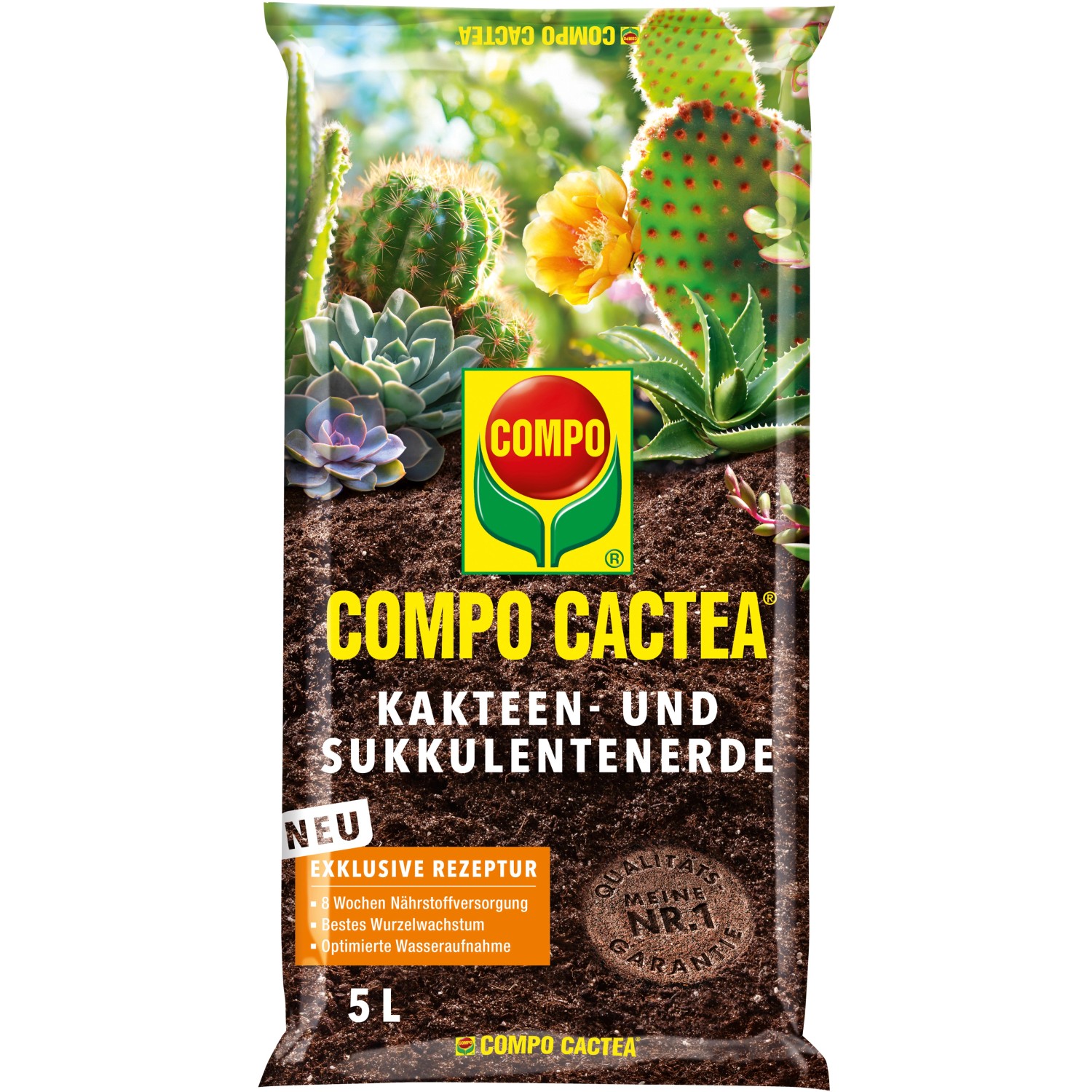 Compo Cactea Kakteen- und Sukkulentenerde 5 l von Compo