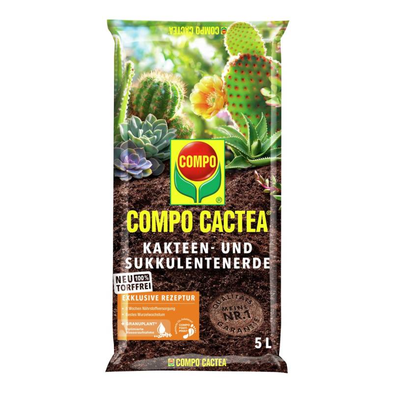 Compo Cactea Kakteen- und Sukkulentenerde Torffrei 5 l von Compo