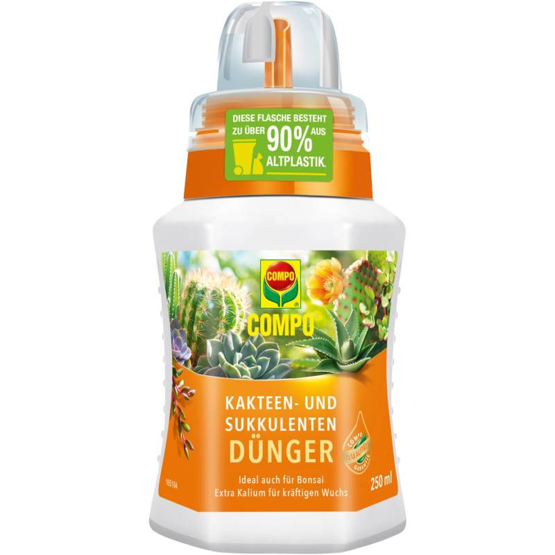 Compo Kakteendünger 250 ml von Compo