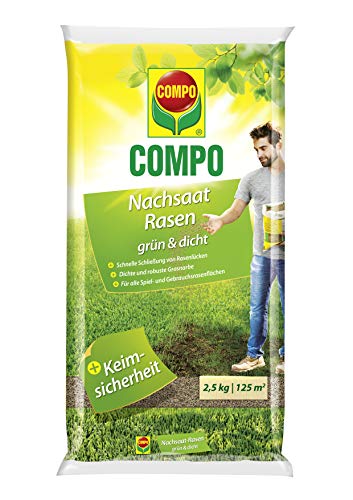 Compo Nachsaat-Rasen grün und dicht, Rasenmischung mit schnell keimenden Rasensorten, 2,5 kg, 125m² von Compo