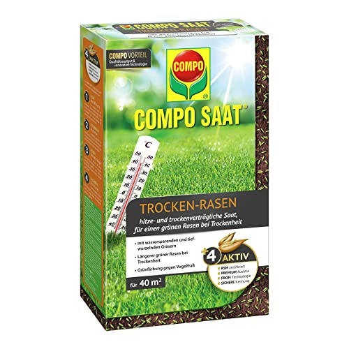 COMPO SAAT Trocken-Rasen, Hitze- und trockenverträgliche Rasensamen / Grassamen für trockene und sonnige Standorte, 1 kg, 40 m² von Compo