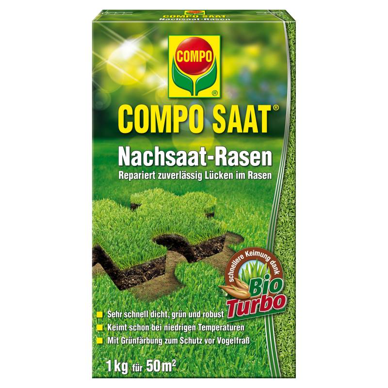 Nachsaatrasen 'Compo Saat' 1 kg von Compo