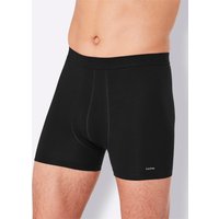 Comte Panty, (2 St.) von Comte