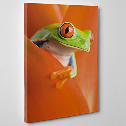 Bild auf Leinwand, gerahmt, fertig zum Aufhängen, grüner Frosch, Orangenblüte, Tiere, 30 x 40 cm, ohne Rahmen, Code 189 von ConKrea