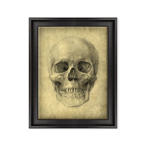 ConKrea - Bild auf Leinwand, gerahmt, Leonardo da Vinci – Studio Anatomie Totenkopf – Chirurgia – 30 x 40 cm – moderner Stil Schwarz – Wandbild für Wohnzimmer von ConKrea