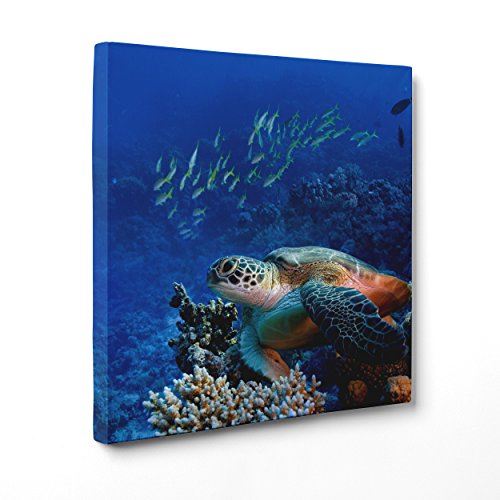 Bild auf Leinwand Canvas – Gerahmt – fertig zum Aufhängen – Hawaii – Wasserschildkröte Schildkröte von Meer – Tropisches Paradies Dimensione: 50x50cm A - Senza Cornice von ConKrea