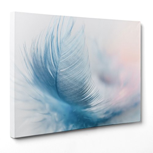 Bild auf Leinwand – gerahmt – fertig zum Aufhängen – Feder – elegant – abstrakt Natur – 30 x 40 cm – ohne Rahmen – (Code 3680) von ConKrea