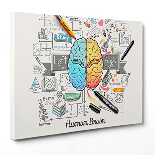 Bild auf Leinwand – gerahmt – fertig zum Aufhängen – Gehirn Idee Concept – Psychologie – Brainstorm Business – 50 x 70 cm – ohne Rahmen – (Artikelnummer: 2853) von ConKrea
