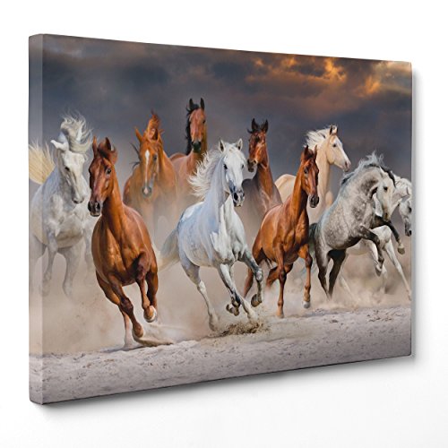 Bild auf Leinwand – gerahmt – fertig zum Aufhängen – Pferde Welche – 30 x 40 cm – ohne Rahmen – (Artikelnummer 2886) von ConKrea