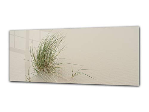 ConceptCrystal Aufgedrucktes Glasbild 125 x 50 cm – Gras 1 ConceptCrystal Aufgedrucktes Glasbild 125 x 50 cm – Gras 1 von Concept Crystal