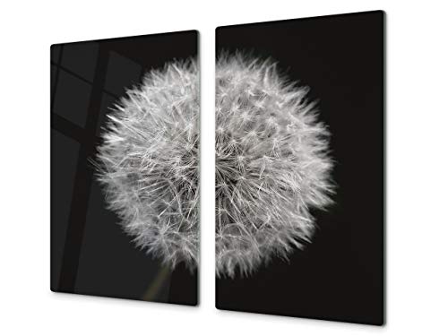 Schneidbrett aus Hartglas und schützende Arbeitsoberfläche – Schneideplatten SINGLE mit 60 x 52 cm und DOUBLE - zwei Bretter mit 30 x 52 cm D06 Flowers Series: Dandelion 3 Schneidbrett aus Hartglas und schützende Arbeitsoberfläche – Schneideplatten SINGLE mit 60 x 52 cm und DOUBLE - zwei Bretter mit 30 x 52 cm D06 Flowers Series: Dandelion 3 von Concept Crystal