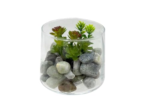 Concord GmbH Mini Sukkulente künstlich Glas Tischdekoration Büro Deko Geschenk Ø 9cm 8cm H von Concord GmbH