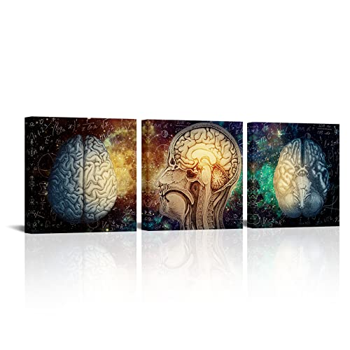 Conipit Linkes und rechtes Gehirn Vorteil Leinwand Wissenschaft Poster gerahmt motivierend inspirierend Psychologie Malerei Menschliches Gehirn Funktionen Kunstwerk gespannt fertig zum Aufhängen 50,8 Conipit Linkes und rechtes Gehirn Vorteil Leinwand Wissenschaft Poster gerahmt motivierend inspirierend Psychologie Malerei Menschliches Gehirn Funktionen Kunstwerk gespannt fertig zum Aufhängen 50,8 von Conipit