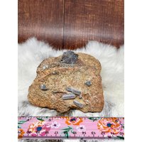 Clearance Großer Staurolith Fairy Cross Cluster Matrix von ConjureAndCauldron