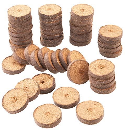 Meister Kokos-Quelltabletten Ø 3,5 cm - Praktisches Set mit 50 Stück - Mit pflegendem Nährstoff-Mix - 100% torffrei aus Kokos - Biologisch abbaubares Material / Kokostabletten / Kokoserde / FLOR79145 Meister Kokos-Quelltabletten Ø 3,5 cm - Praktisches Set mit 50 Stück - Mit pflegendem Nährstoff-Mix - 100% torffrei aus Kokos - Biologisch abbaubares Material / Kokostabletten / Kokoserde / FLOR79145 von Meister