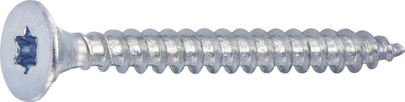 Connex Universalschrauben 3.0 x 30 mm TX 10 - 500 Stk. von Connex