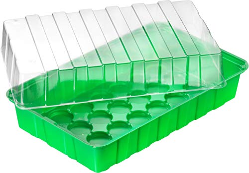 Meister Zimmer-Gewächshaus - 36 x 22 x 13 cm - Für bis zu 18 Pflanzen - Mit Vertiefungen & Wasserrinnen / Anzuchthaus für Samen & Setzlinge / Zimmer-Treibhaus / FLOR79020 Meister Zimmer-Gewächshaus - 36 x 22 x 13 cm - Für bis zu 18 Pflanzen - Mit Vertiefungen & Wasserrinnen / Anzuchthaus für Samen & Setzlinge / Zimmer-Treibhaus / FLOR79020 von Meister