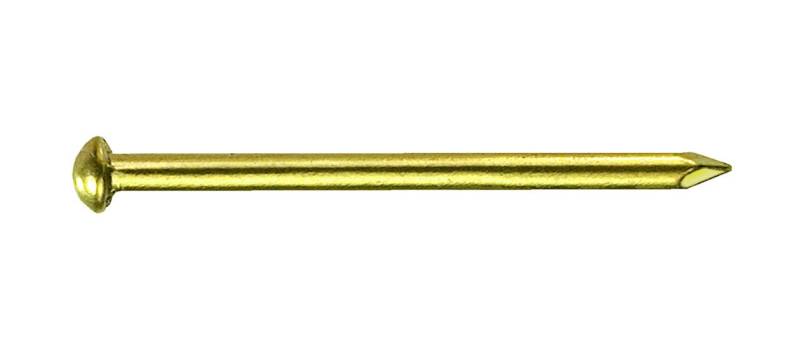 Rundkopfstifte 2,0 x 30 mm von Connex