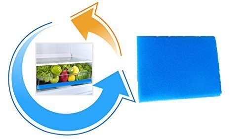 Frischhaltematte für Gemüsefächer 47x30 cm blau von Conny Clever