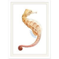 Seepferdchen Poster, Seepferdchenposter, Print von ConradIllustration