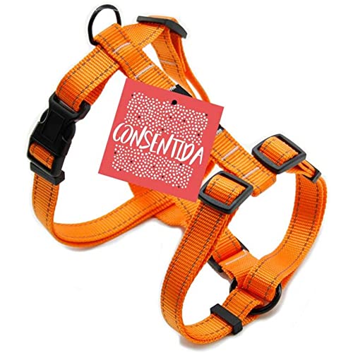 Consentida CN205641 Geschirr Flöte T-1, 20-40 x 1 cm, S, Orange von Consentida