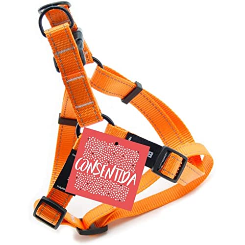 Consentida CN205665 Petral Flöte T-1, 20-35 x 1 cm, S, Orange von Consentida