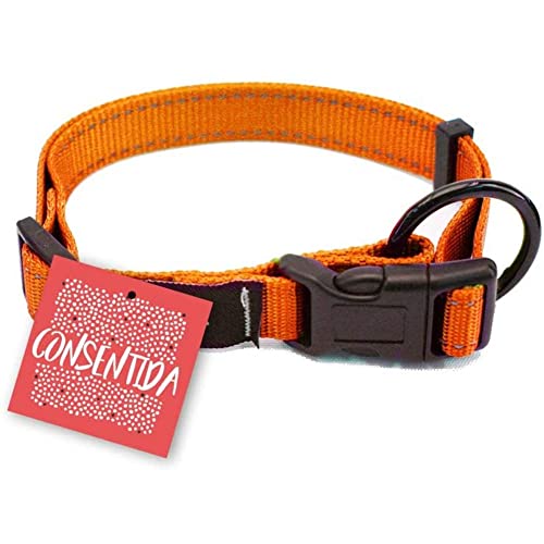 Consentida CN205673 Sicherheitskette Flöte T-1, 20-35 x 1 cm, S, Orange von Consentida