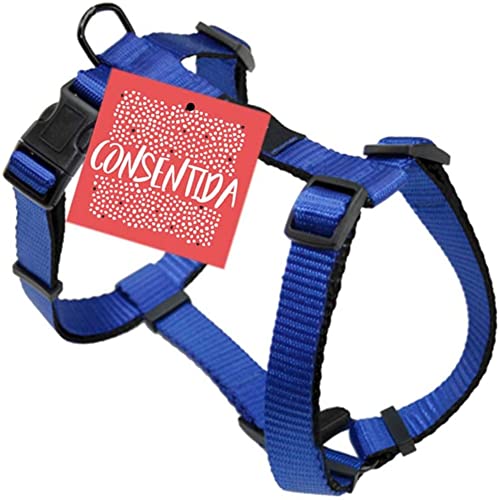 Consentida CN205695 Basic T-4, 42-70 x 2.5 cm, XL, blau von Consentida