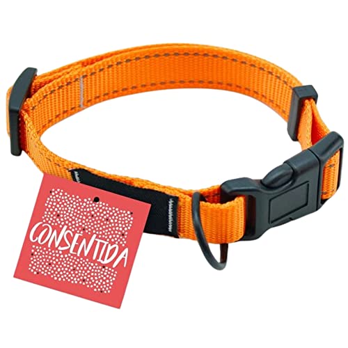 Consentida Halsband für mittelgroße Hunde, T2, Größe M 28 – 45 x 1,5 cm, Fluoreszierendes Orange, glatter und robuster Stoff, integrierte Regulierungsfunktion mit Click-Verschluss von Consentida