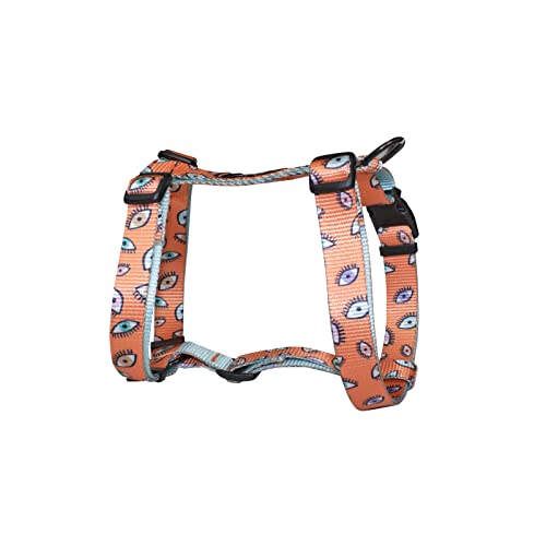 Consentida Hundegeschirr für kleine Hunde T1-20 - 40 x 1,5 cm - Hergestellt aus Nylon - Augen Design - Größe S - sehr robust und bequem - Zubehör für Hunde von Consentida