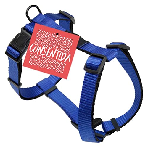 Consentida Hundegeschirr T4 Größe XL 42 – 70 x 2,5 cm – Blau – Uni-Druck – Robustes Gewebe aus Nylon – leicht zu befestigen – Hundezubehör von Consentida