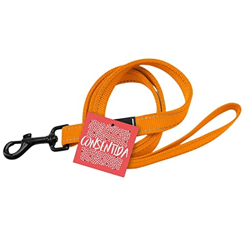 Consentida cn205651 RAMAL Fluor T-3, 100 x 2 cm, L, orange von Consentida