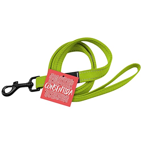 Consentida cn205656 RAMAL Fluor T-4, 80 x 2,5 cm, XL, grün von Consentida