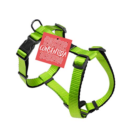 Consentida cn205696 Harness Basic T-4, 42 – 70 x 2.5 cm, XL, Pistaziengrün von Consentida