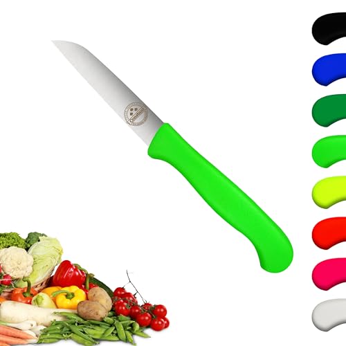 Solingen Messer, Kunststoffgriff - Neongrün, Premium Gemüsemesser, rostfreier Klinge, Chrom-Stahl, extra scharfes Küchenmesser, Dünnschliff & Handabzug, Made in Germany von Constant FRIEDR. HERDER A.S N SOLINGEN-GERMANY