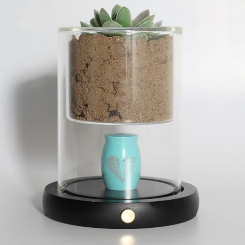 Contid Kleine Urnen für Asche mit Sockel, Lichtglas, Pflanze oder Kerzenhalter, Mini-Urne für menschliche Asche, kleine Urne für Mensch oder Haustier, zum Teilen von Gedenkurnen für den Verlust eines Contid Kleine Urnen für Asche mit Sockel, Lichtglas, Pflanze oder Kerzenhalter, Mini-Urne für menschliche Asche, kleine Urne für Mensch oder Haustier, zum Teilen von Gedenkurnen für den Verlust eines von Contid