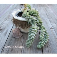 Blumentopf Hülle Boho von Contra0815