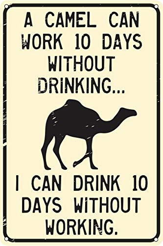 Lustiges Blechschild mit Aufschrift "A Camel Can Work 10 Days Without Drinking 30,5 x 20,3 cm von Contrence