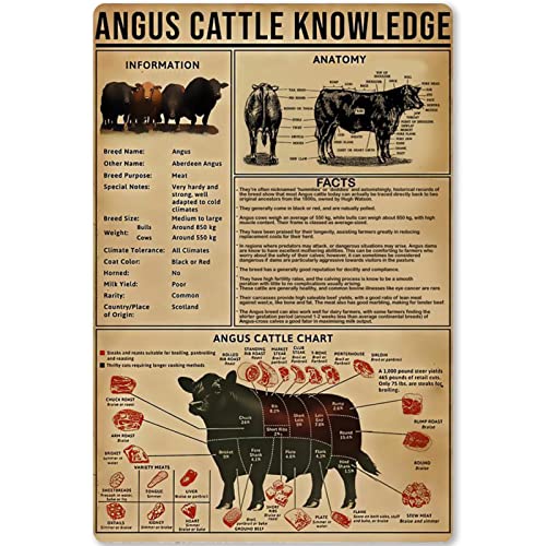Metallschild Angus Rinder Wissen Information Anatomie Diagramm Blechposter Plakette Club Bauernhof Haus Küche Garage Wanddekoration Eisenmalerei 20,3 x 30,5 cm Metallschild Angus Rinder Wissen Information Anatomie Diagramm Blechposter Plakette Club Bauernhof Haus Küche Garage Wanddekoration Eisenmalerei 20,3 x 30,5 cm von Contrence