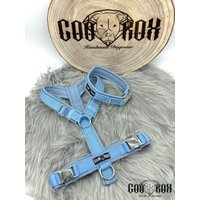 Softshell-Hundegeschirr/Y-Geschirr/ Führgeschirr Gepolstert Individuell Zusammenstellbar Soft Auch Als Set Mit Leine U.o. Halsband von CooRox