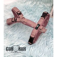 Softshell-Hundegeschirr/Y-Geschirr/ Führgeschirr Gepolstert Individuell Zusammenstellbar Soft Auch Als Set Mit Leine U.o. Halsband von CooRox