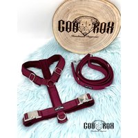 Softshell-Hundegeschirr/Y-Geschirr/ Führgeschirr Gepolstert Individuell Zusammenstellbar Soft Auch Als Set Mit Leine U.o. Halsband von CooRox