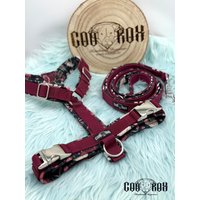 Softshell-Hundegeschirr/Y-Geschirr/ Führgeschirr Gepolstert Individuell Zusammenstellbar Soft Auch Als Set Mit Leine U.o. Halsband von CooRox