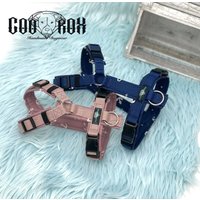 Softshell-Hundegeschirr/Y-Geschirr/ Führgeschirr Gepolstert Individuell Zusammenstellbar Soft Auch Als Set Mit Leine U.o. Halsband von CooRox